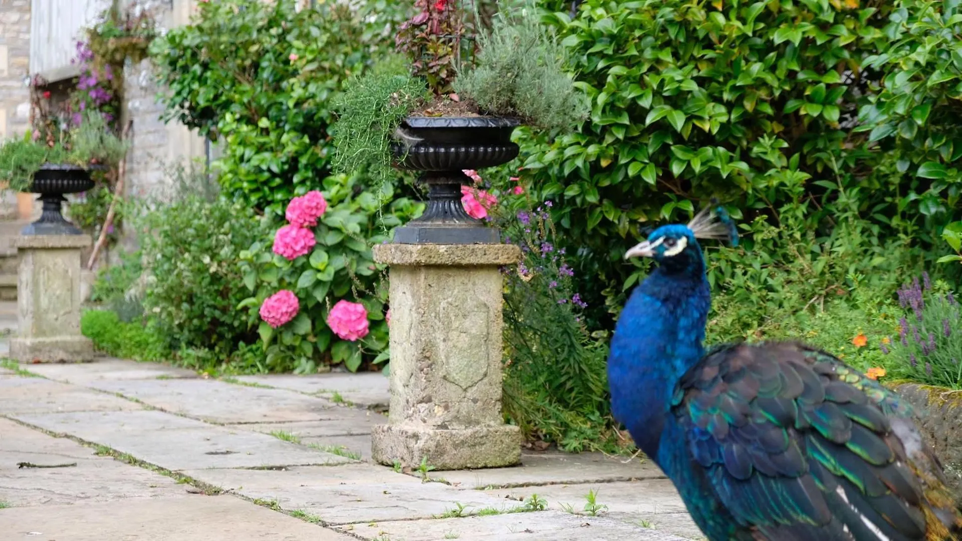 Simonstone Hall Hotel Hawes